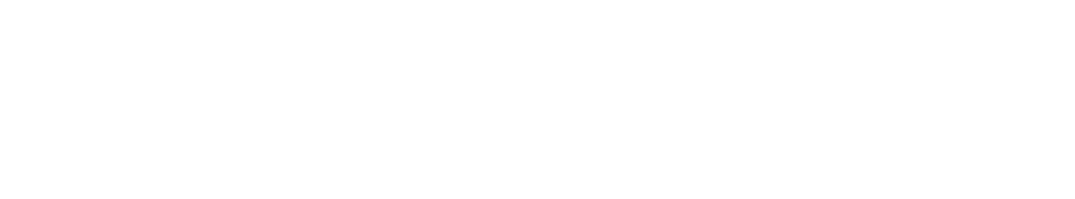 logo-selinhos